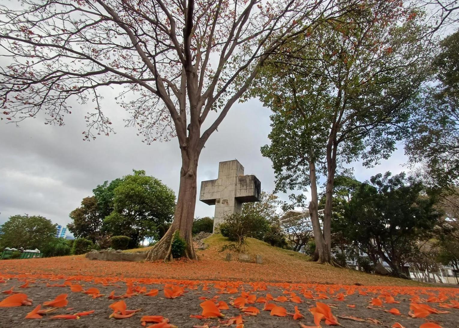 Sabana Studios San José Dış mekan fotoğraf